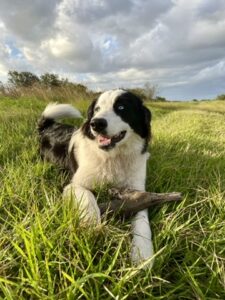 4668BE9F-602F-4677-B370-4747F2BBAE9A_4_5005_c